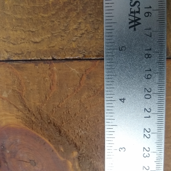 Vintage woodland critters shellac handmade wall decor birds duck chipmunk snail - Picture 7 of 11